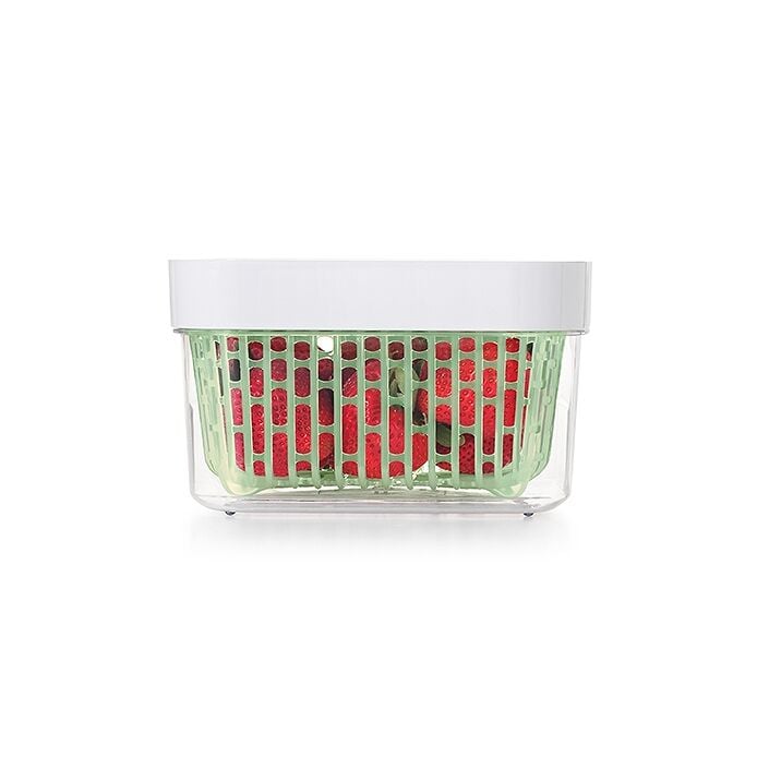 GreenSaver Produce Keeper (1.6 Qt) H4