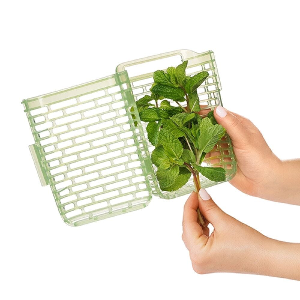 GreenSaver Herb Keeper - Small L2