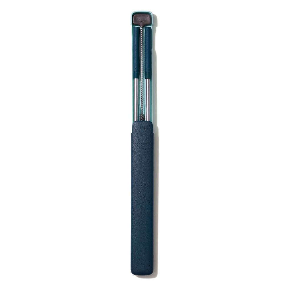 4-Piece Reusable Straw and Brush Set with Case A2