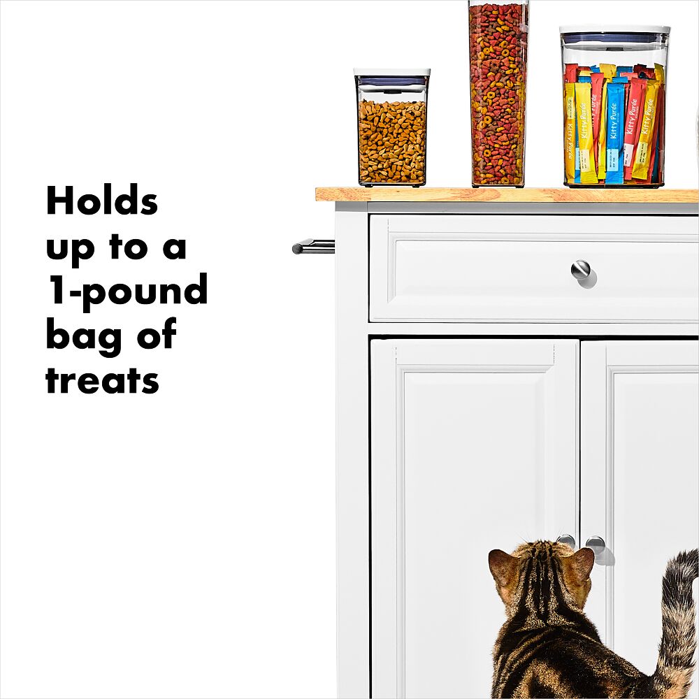 OXO Good Grips Pet POP Container – 1.1 Qt/1 L X9
