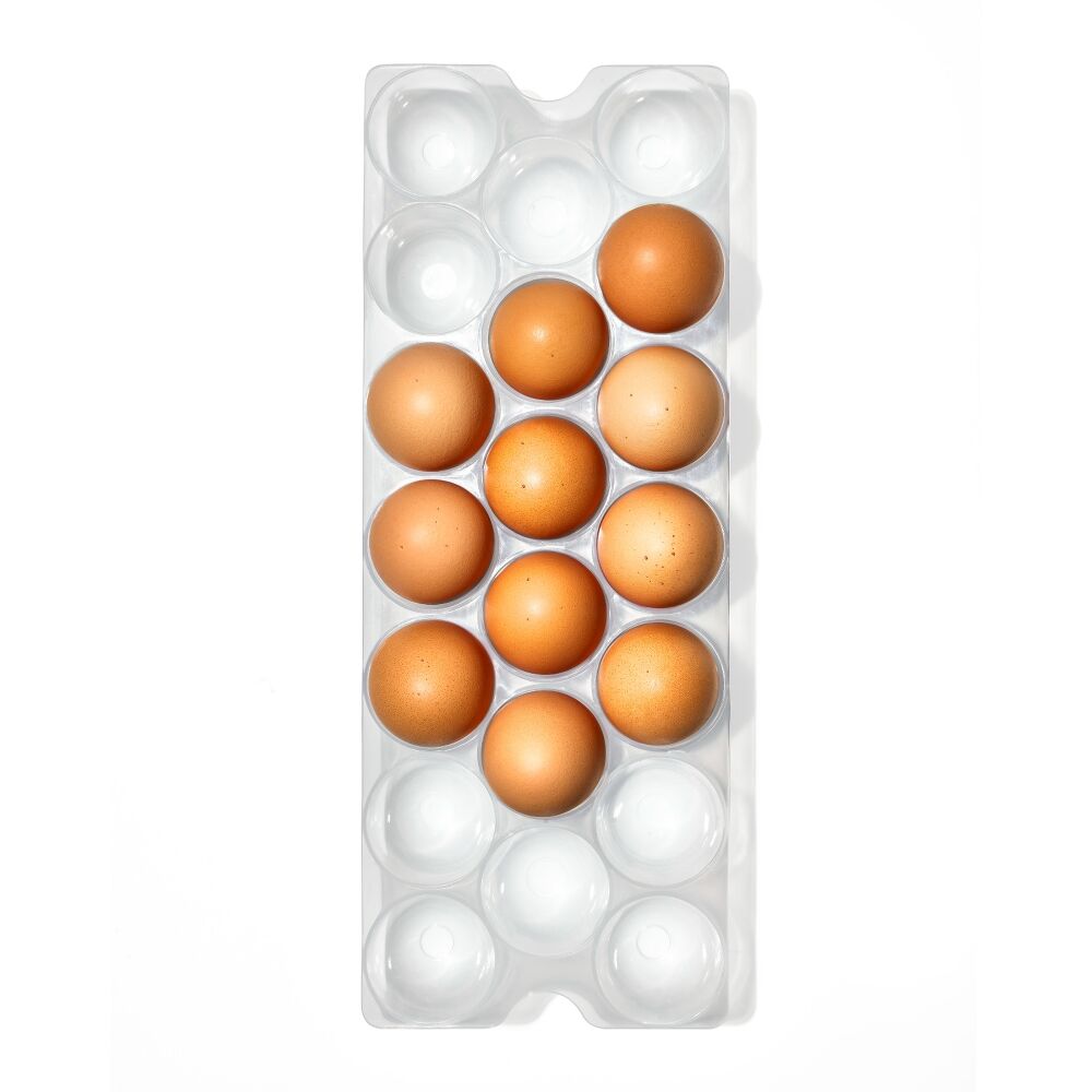 Refrigerator Egg Bin With Removable Tray O1