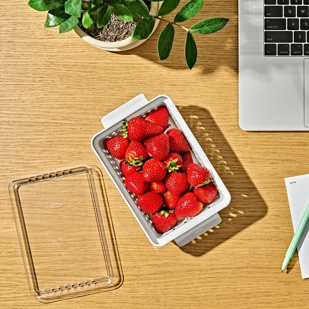 Produce Saver - Berry Keeper 2-Piece Set J5