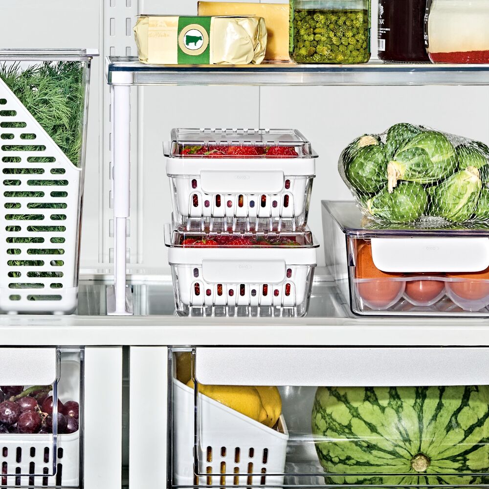Produce Saver - Berry Keeper 2-Piece Set J5