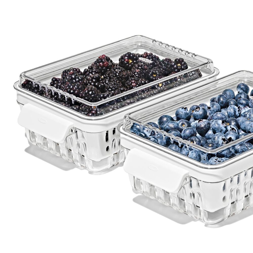 Produce Saver - Berry Keeper 2-Piece Set J5