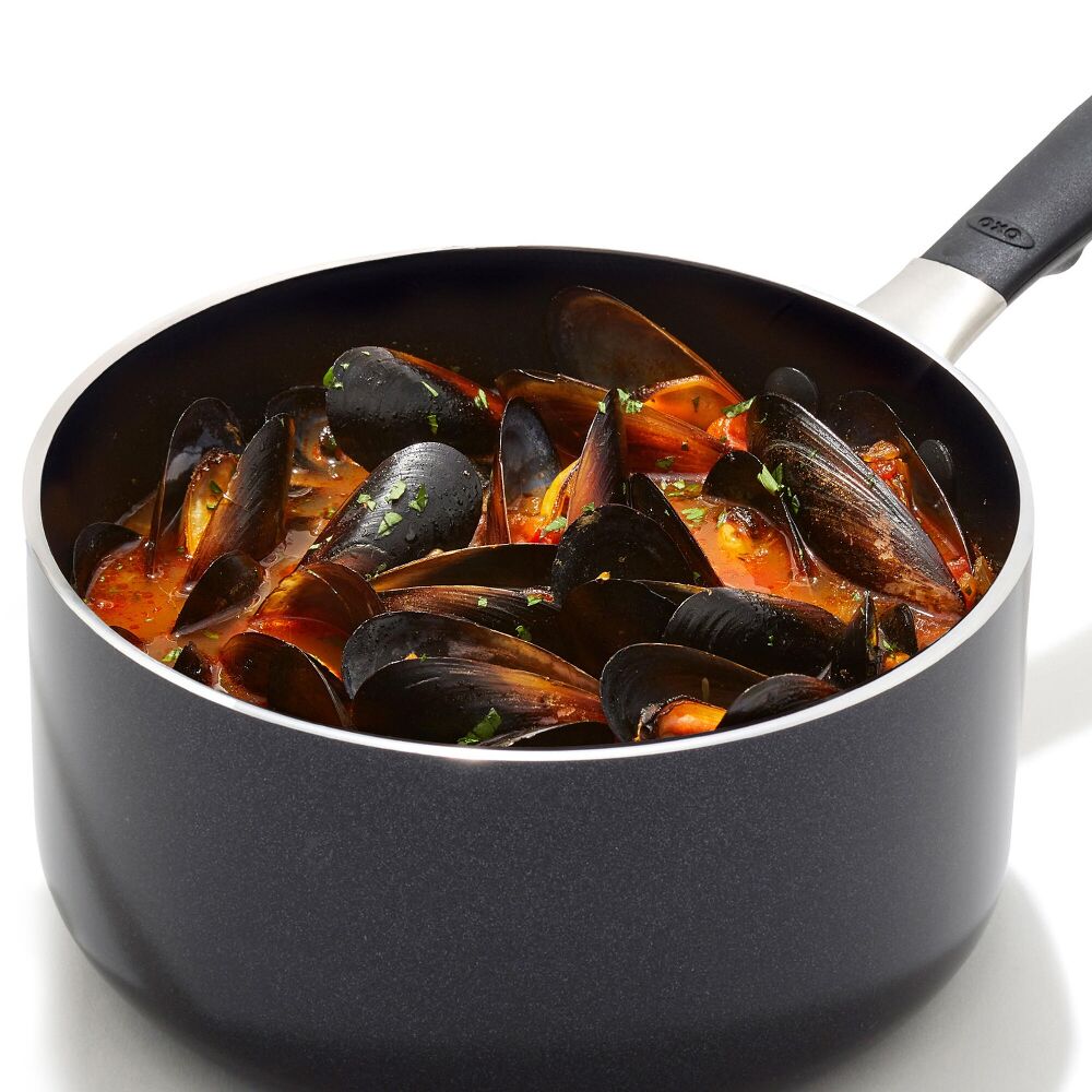 Non-Stick Pro Every Day 1.6 Qt Saucepan with Lid E5