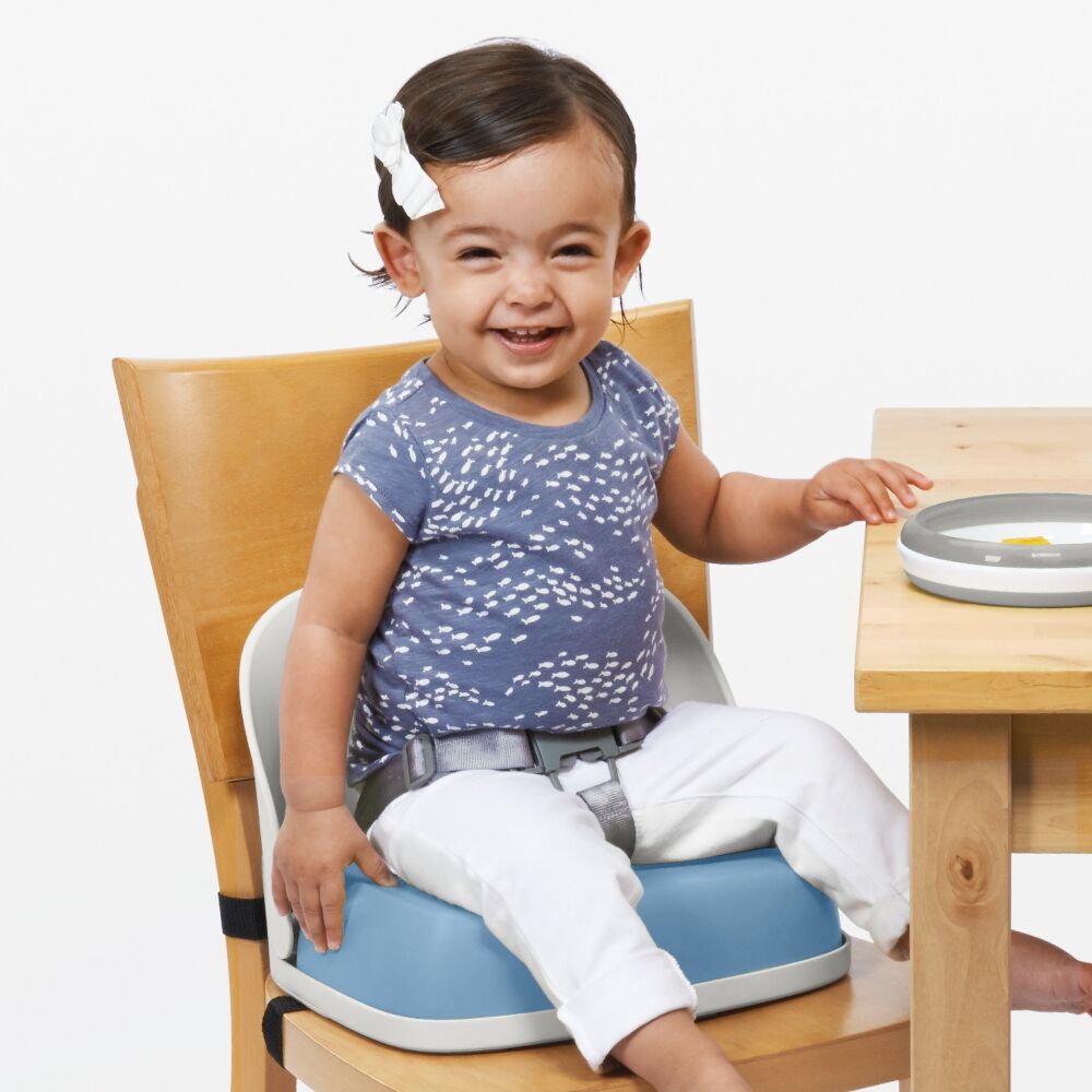 Perch Booster Seat With Straps V0