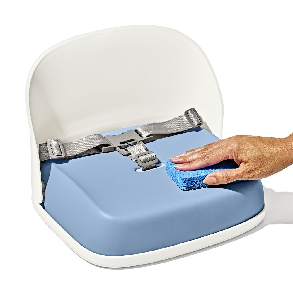Perch Booster Seat With Straps V0
