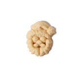 Christmas Cookie Press Disk Set Y4