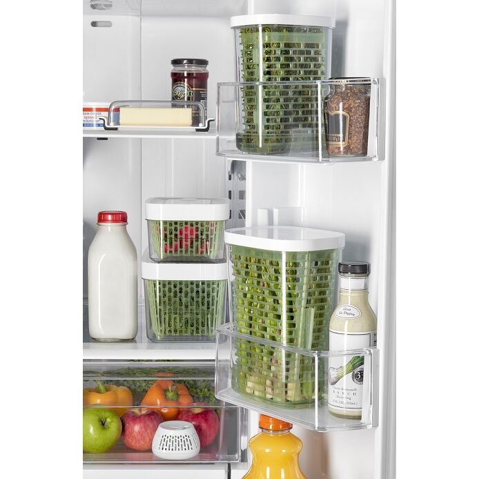 GreenSaver Standing Crisper Insert - 1 Pc B0
