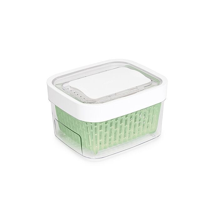 GreenSaver Produce Keeper (1.6 Qt) H4