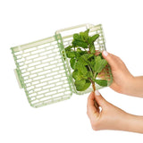 GreenSaver Herb Keeper - Small R5