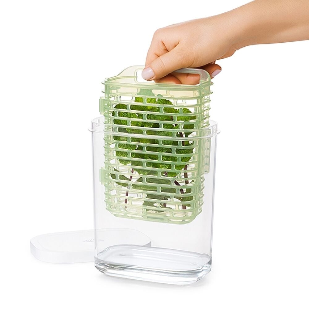 GreenSaver Herb Keeper - Small R5