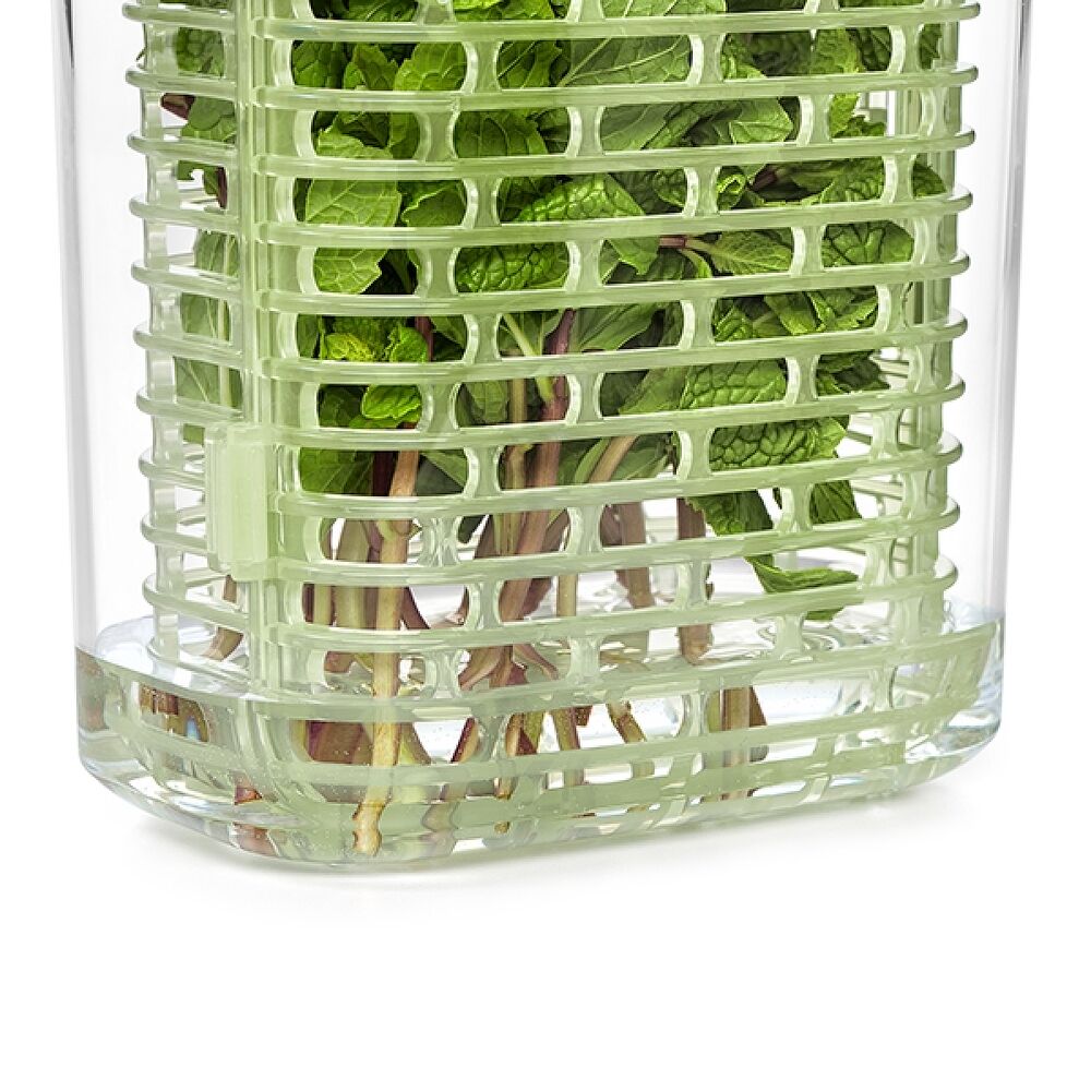 GreenSaver Herb Keeper - Small R5
