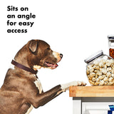 OXO Good Grips Pet POP Container – 3.0 Qt/2.8 L G5