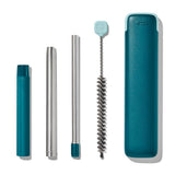 Collapsible Straw With Case T3
