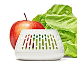 Produce Saver Crisper Drawer Insert  2-Pack T0