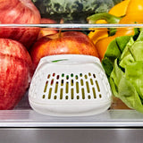 Produce Saver Crisper Drawer Insert  2-Pack T0