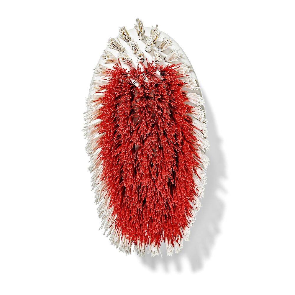 All-Purpose Scrub Brush 2-Pack D8
