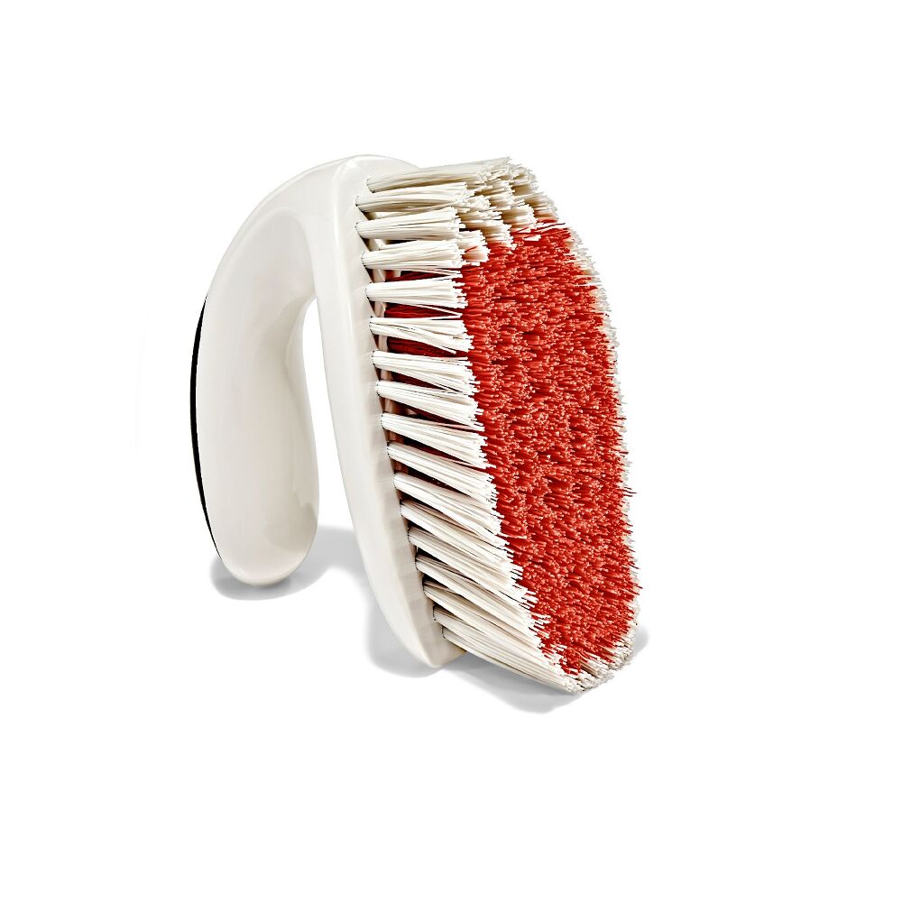 All-Purpose Scrub Brush 2-Pack D8