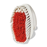All-Purpose Scrub Brush 2-Pack D8