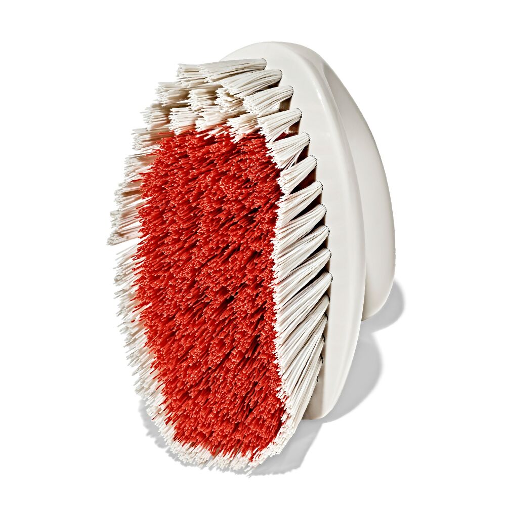 All-Purpose Scrub Brush 2-Pack D8