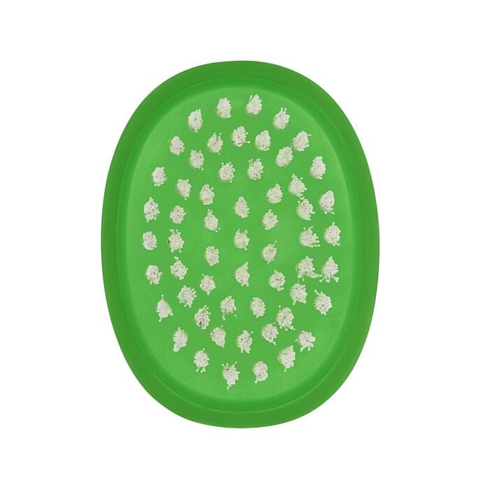 Vegetable Brush B4