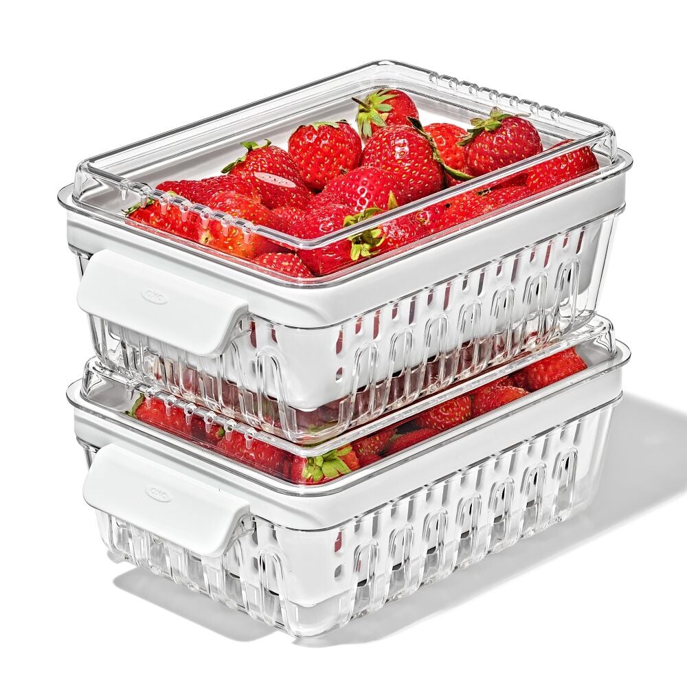 Produce Saver - Berry Keeper 2-Piece Set J5