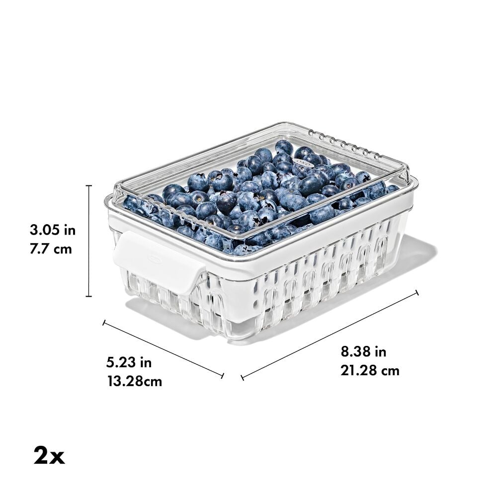 Produce Saver - Berry Keeper 2-Piece Set J5