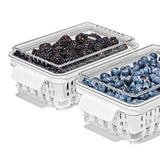 Produce Saver - Berry Keeper 2-Piece Set G6