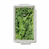 Produce Saver - Medium Bin F8
