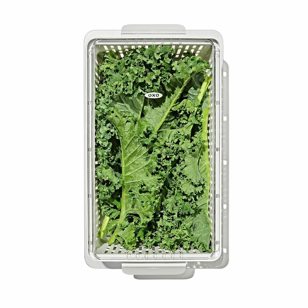 Produce Saver - Medium Bin F8