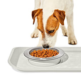 OXO Pet Nonslip Bowl - Small, 1 Cup / 240 mL O2