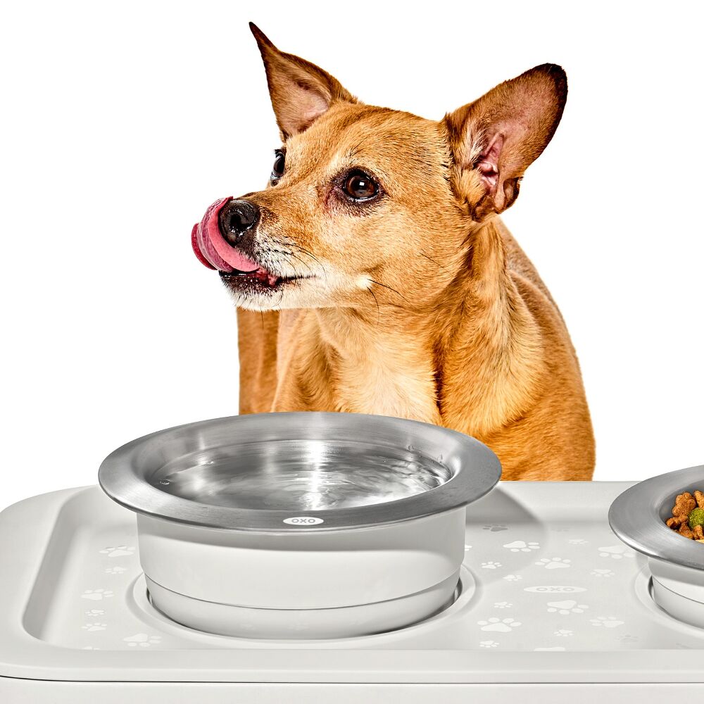 OXO Pet Nonslip Bowl - Medium, 2 Cups / 480 mL T7