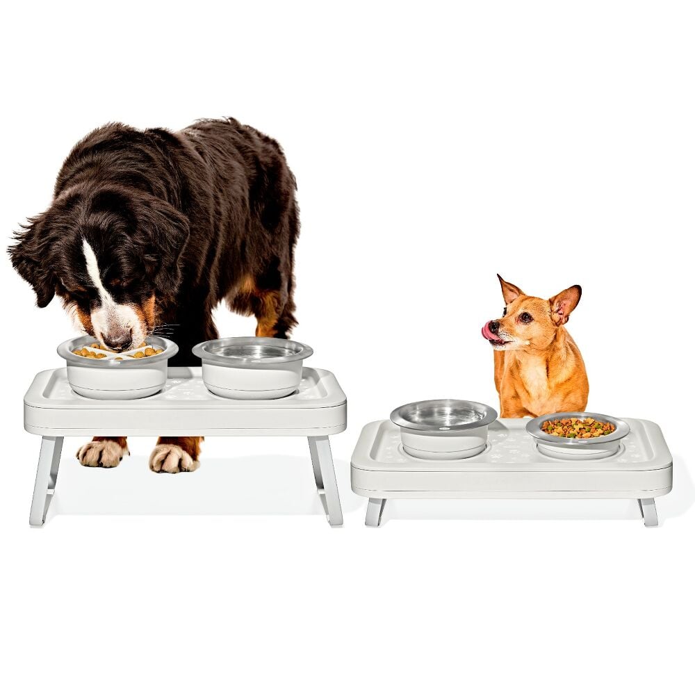 OXO Pet Adjustable Elevated Feeder U4