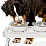OXO Pet Easy-Clean Slow Feeder - Large, 4 Cups/950 ml R6