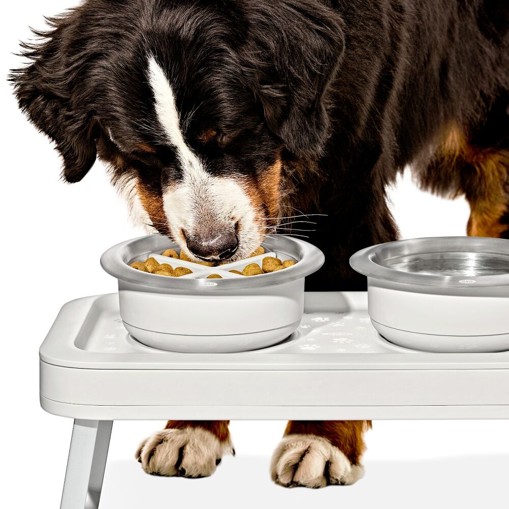 OXO Pet Easy-Clean Slow Feeder - Large, 4 Cups/950 ml R6