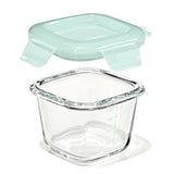 Glass Baby Blocks Food Storage Containers (4 oz) - Opal D6